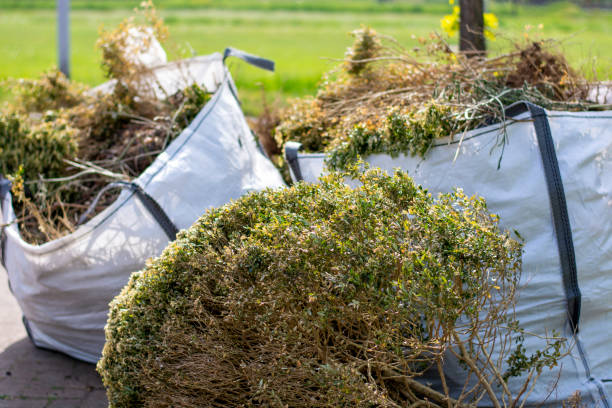 Best Local Junk Hauling  in Westlake Corner, VA